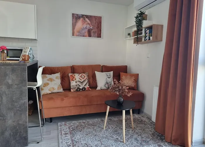 Apartament Rudy Zakatek W Centrum Bydgoszczy