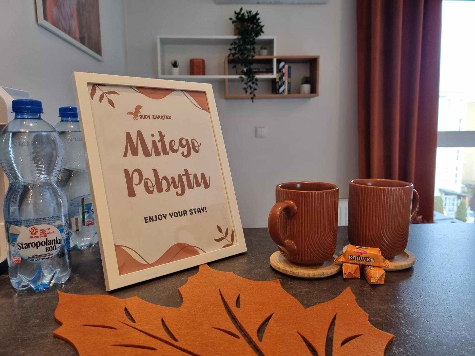 Rudy Zakatek W Centrum Bydgoszczy * Bydgoszcz